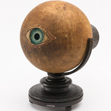 Modell eines menschlichen Auges, gefertigt von Johann Beyer, 1724, Holz, Glas (Ausschnitt) Modell eines menschlichen Auges, gefertigt von Johann Beyer, 1724, Holz, Glas (Ausschnitt) © Städtisches Museum Göttingen / F.S.Kimmel